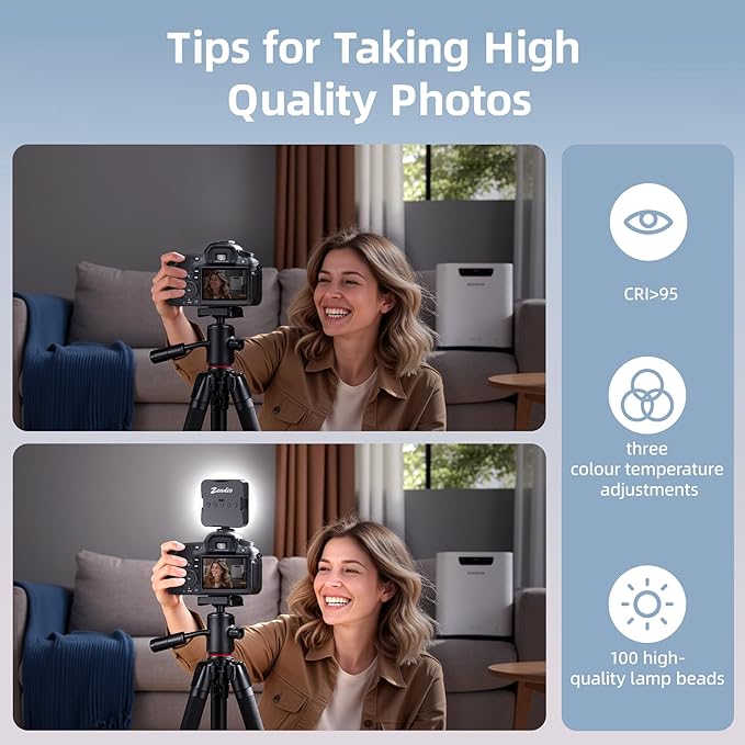 Zeadio Camera Stabilizer Kit, All-in-One Handheld Stabilizer with LED Video Light, Microphone, Phone Holder & Action Camera adaper, Fits for All Camera, DSLR, Action Camera and All Smartphones
