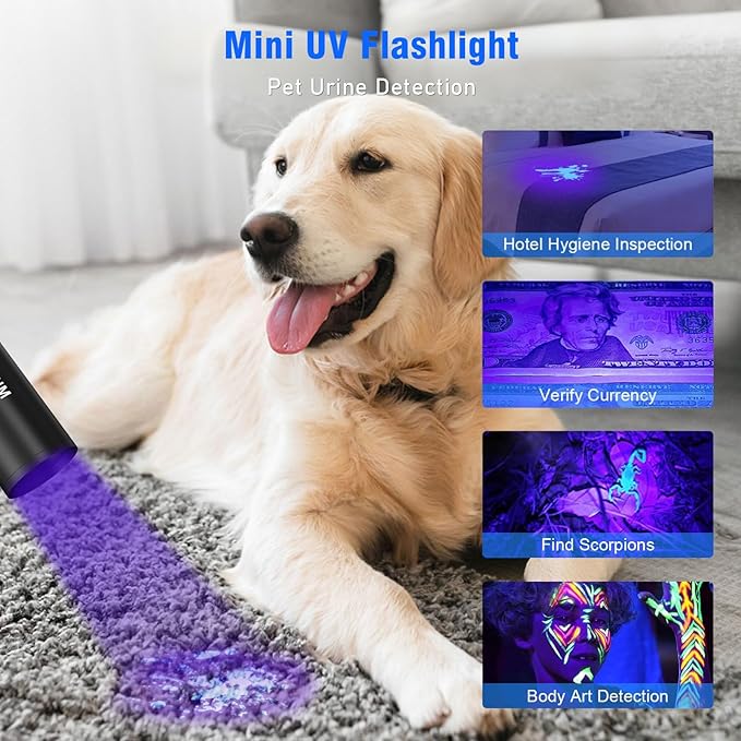 Goreit Flashlights LED High Lumens Rechargeable, 20,000 Lumens XHM77.2 Super Bright Flash Light USB, Handheld Flashlight High Powered, Powerful Flashlight Waterproof for Emergency Camping Gift