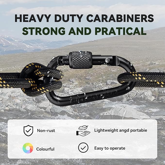 Carabiner Clip, Key Hooks for Keychain Aluminum D Ring Shape Carabiner, Key Chain Clip Hook, Keychain Clip, Multipurpose for Camping, Hiking, Backpacking or Other Outdoor Activities, 8PCS