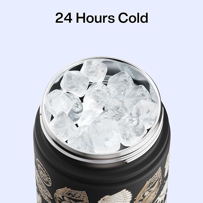 ENCOOL Insulated Water Bottle with Straw Stainless Steel Water Bottle, Leak-Proof, BPA-Free, Double Wall Vacuum Keeps Cold for 24 Hours for Sports, Travel, School (26 oz, Ocean Whisper)