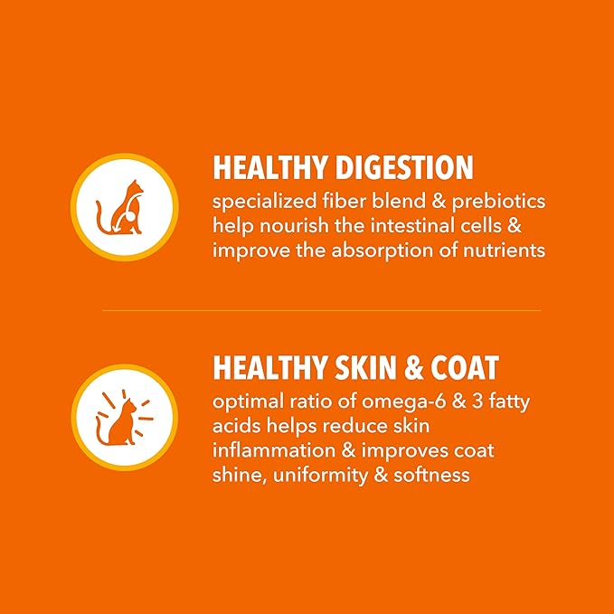 IAMS Proactive Health Dry Cat Food, Healthy Cat Food Dry Recipe for Adults, with Real Salmon, 22 lb. Bag