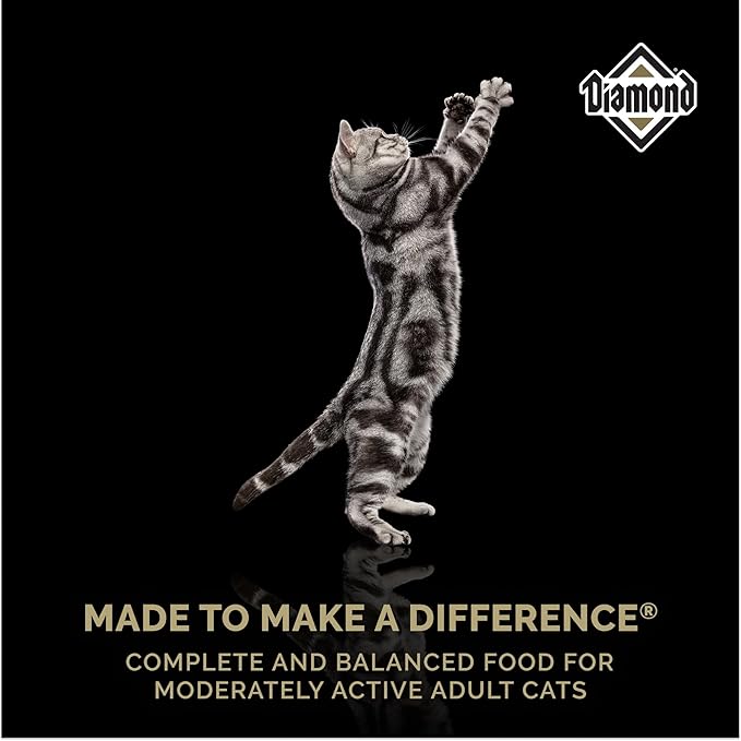 Diamond Maintenance Cat Dry Food 30/15 for Moderately Active Adult Cats 40lb Bag