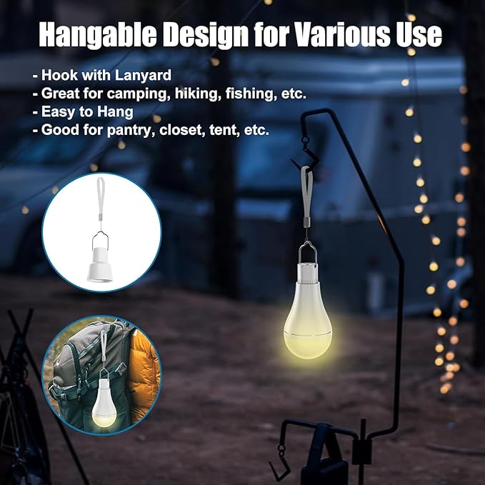 Brightown USB Rechargeable Light Bulb with Remote and Timer, Battery Emergency Light Bulbs for Home Power Outage, Hanging LED Light Bulb with Hook for Outdoor Camping Tent, 700LM, 6000K, 2 Pack