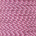 Paracord Planet 550 Paracord – Camo Colors – Ideal for Fishing Lines, Snares, Bracelets, Emergency and Survival Situations – Multiple Colors and Lengths Available