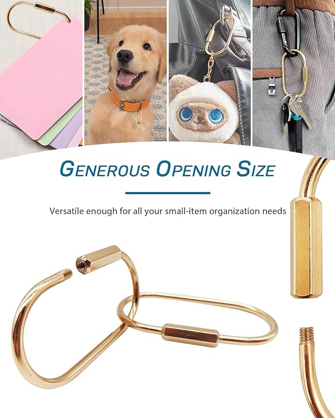 Brass Gold Carabiner Clip for Keys - Loose Leaf Binder Rings, Screw Lock Keychain and Carabiner Clip with Lock for Backpacks, Luggage Tags, Pet Collar Clips and Outdoor Accessories, 10 Packs