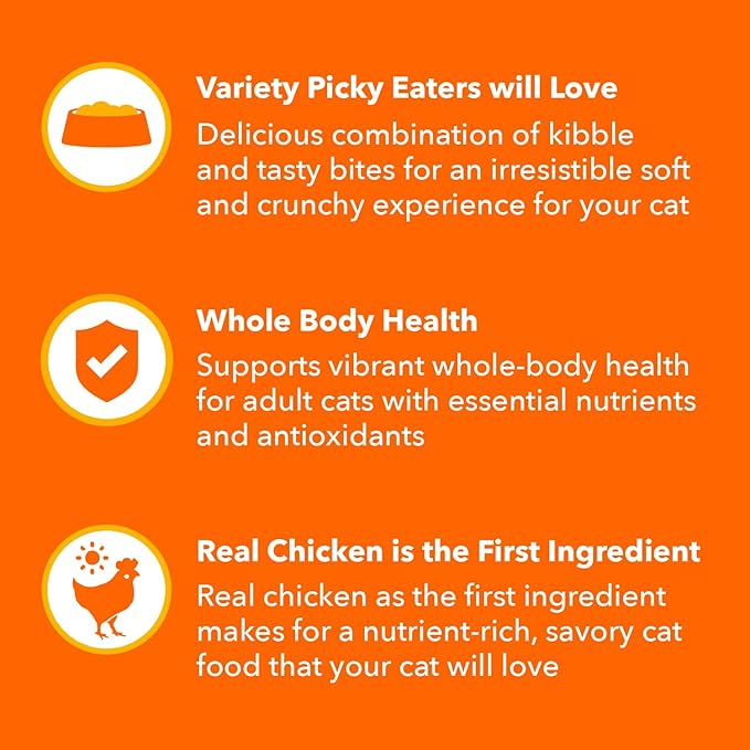 IAMS Healthy Enjoyment Dry Cat Food Chicken & Salmon Recipe, Cat Food Dry Recipe, 15 lb. Bag