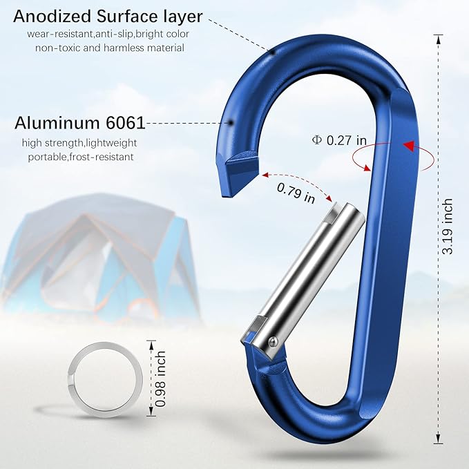 sprookber 3" Carabiner Clip Keychain, D Ring Caribeaner Clip, Key Clip Caribeener, Spring Snap Hook for Bag/Buckle, Set of 10