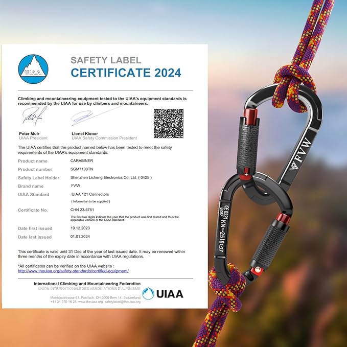 FVW Auto Locking Rock Climbing Carabiner Clips,Professional 25KN (5620 lbs) Heavy Duty Caribeaners for Rappelling Swing Rescue & Gym etc, Large D-Shaped Carabiners