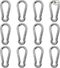 Marine Grade 316 Stainless Steel Carabiners Heavy Duty, Durable & Rust-Free Clips for Gym, Swing, Dog Leashes, Hammocks, Keychains, and More
