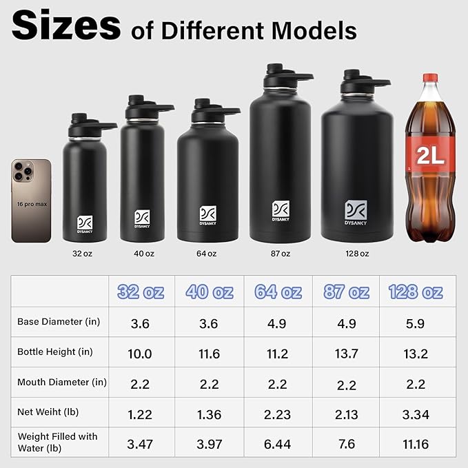 DYSANKY Insulated Water Bottle | Thickened Stainless Steel for Gym and Hiking with Straw, Carrier Bag, Handle Strap | BPA-Free 87 oz