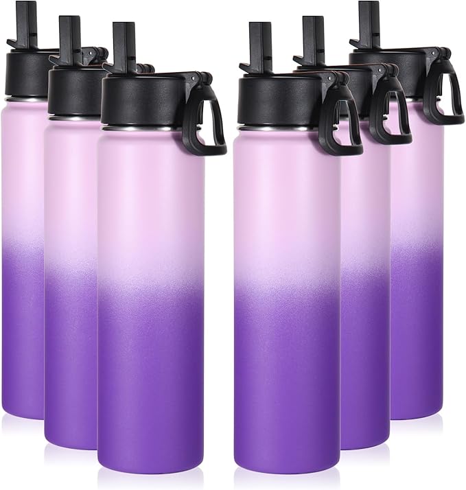 Volhoply 24oz Insulated Water Bottle With Straw Bulk 6 Pack,Metal Wide Mouth Water Bottles With Handle Keep Cold,Reusable Double Wall Cups,Powder Coated Sport Bottle For Holder(Lavender,6 Count)