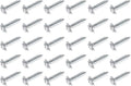Lawn Chair USA Webbing Screws, 30 Pack