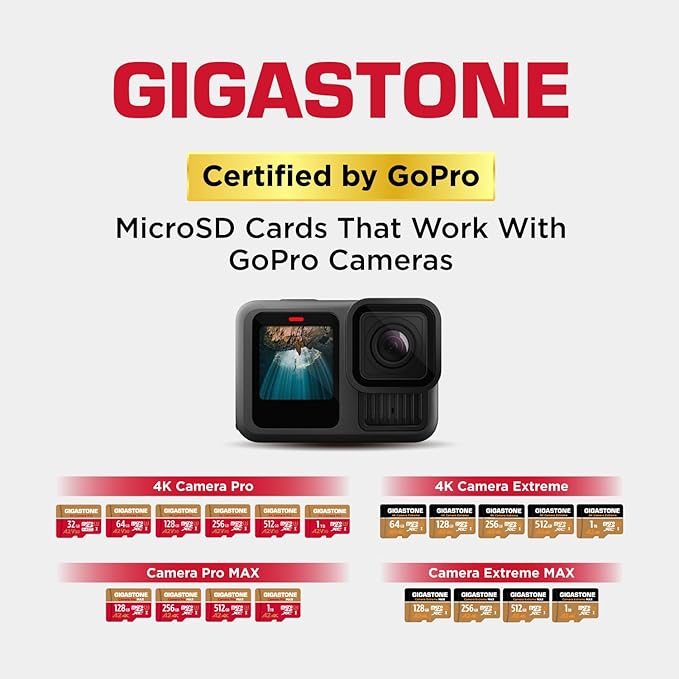 【5-Years Data Recovery】 GIGASTONE 256GB Memory Card 2 Pack 4K Pro Camera Compatible with GoPro Switch, Speed 100MB/s. A2 U3 V30 Micro SDXC Card with SD Adapter.