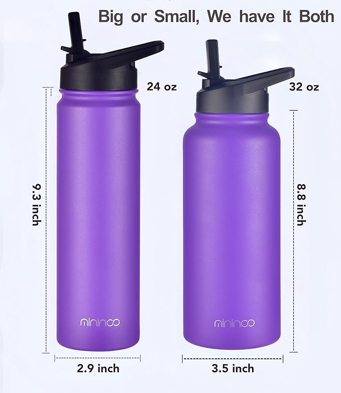 mininoo 24 oz Insulated Water Bottle with Straw Lid, Stainless Steel Double Wall Vacuum, Leak Proof, BPA Free, Keep Cold for 24H & Hot for 12H(Purple)