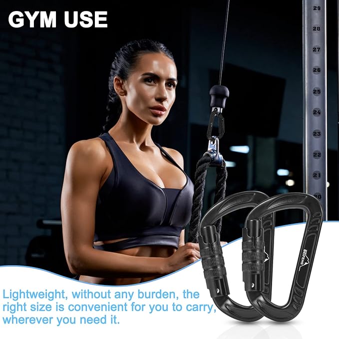 BEIFENG Heavy Duty Lightweight Locking Carabiner Clips D Ring for Camping Hiking Outdoor Gym etc, Carabiner with Lock Small Carabiners for Dog Leash & Harness