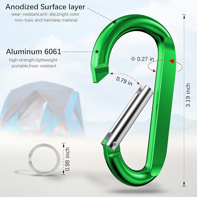 sprookber 3" Carabiner Clip Keychain, D Ring Caribeaner Clip, Key Clip Caribeener, Spring Snap Hook for Bag/Buckle, Set of 10