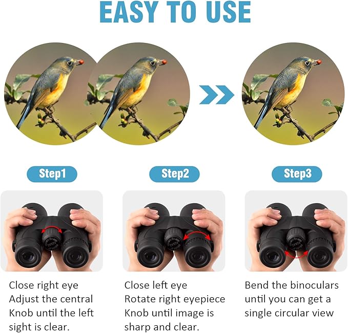10x42 Binoculars for Adults - Professional HD Roof BAK4 Prism Lens Binoculars for Bird Watching, Hunting, Travel, Sports, Cruise, with Carrying Bag (1.1Lbs)