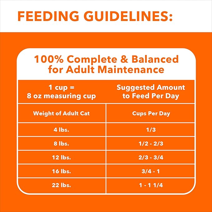 IAMS Healthy Enjoyment Dry Cat Food Chicken & Salmon Recipe, Cat Food Dry Recipe, 3 lb. Bag