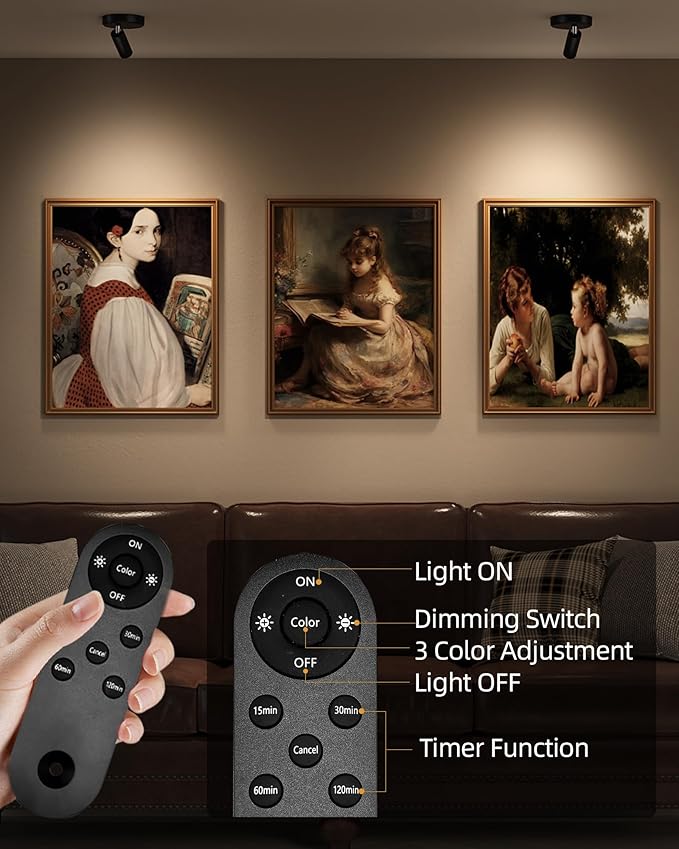 EZVALO Spotlights Indoor with Remote, 5500mAh Rechargeable Picture Lights, Wireless LED Uplighting with Timer & Dimmable, 3-CCT, Mini Plant Spot Lights for Painting, Artwork (4-Pack-Black)