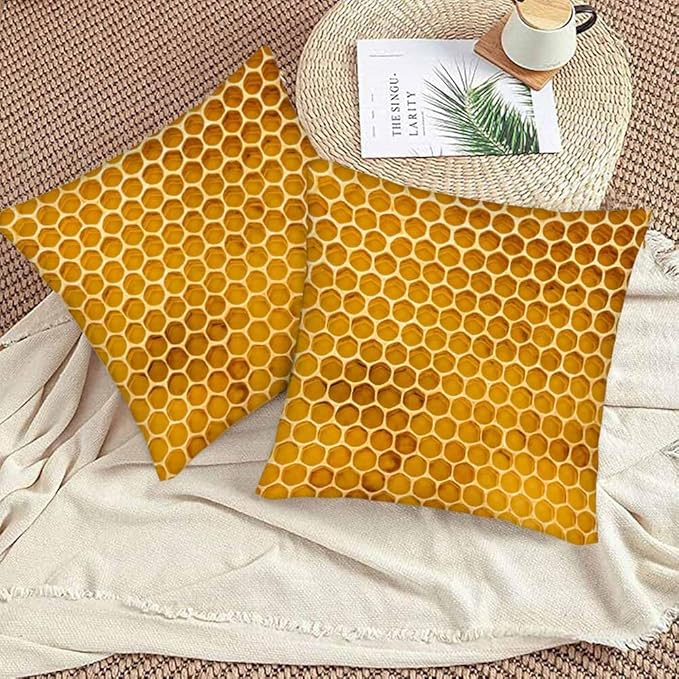 Bee Honeycomb Throw Pillow Covers 18x18 Yellow Honey Abstract Set of 2 Pillow Cases Square Velvet Outdoor Pillowcases Decorative for Home Bed Sofa Couch Hotel