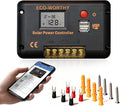 ECO-WORTHY 30A Solar Charger Controller Bluetooth,Solar Panel Battery Intelligent Regulator with Dual USB Ports Auto 12/24V PWM Negative Ground for Lithium,Lead-Acid,Gel Battery