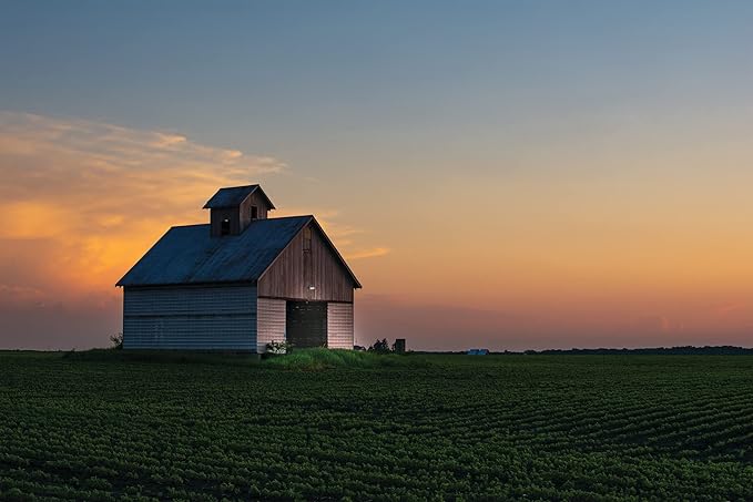 Lithonia Lighting BarnGuard LED Barn Light, Dusk to Dawn Outdoor Lighting, 4000K Cool White, Wall or Pole Mountable Yard Light Fixture, 120V, Aluminum, Dark Bronze