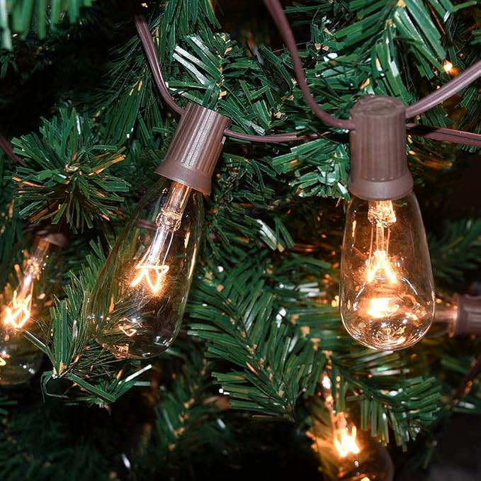10Ft ST40 Outdoor String Lights with 11 Incandescent Bulbs, E17 Scoket Base, Waterproof Patio String Lights, Hanging Vintage Edison Lights Outdoor for Backyard Garden Porch Party Wedding Decor, Brown