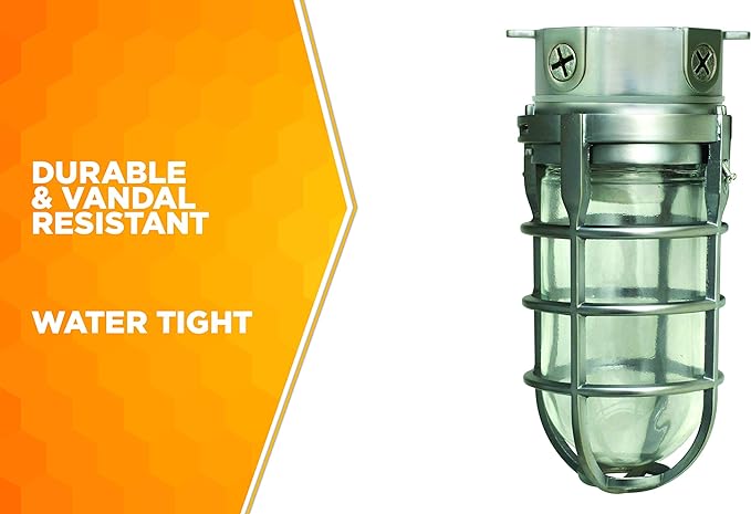 Woods L1706 Vandal Resistant Security Light With Ceiling Mount (150W Incandescent Bulb; Silver)
