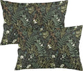 Botanical Print Floral Throw Pillow Covers Set of 2 Queen Size Black Sage Green Spring Flower Plant Pillow Cushion Cases Standard Pillow Cases Decorative Pillowcase 20X30 Inch for Sofa Bed