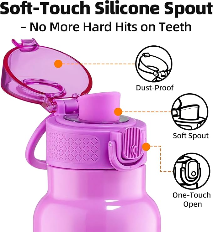 Fanhaw Daylite Series 24 oz Stainless Steel Insulated Water Bottle with Silicone Spout Lid, Double-Wall Vacuum Leakproof Metal Bottle, Anniversary Birthday Gift for Kids, Women & Men (Purple)