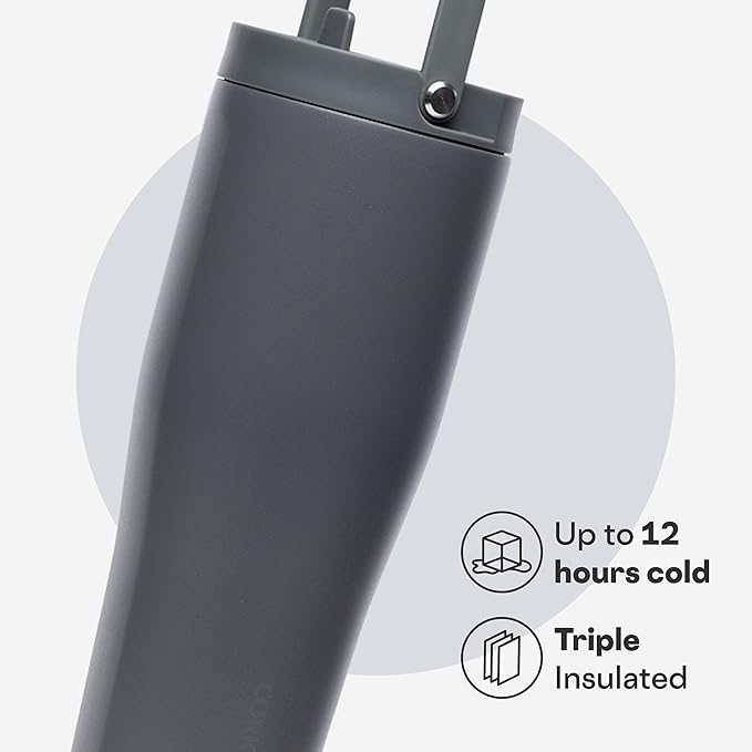 Corkcicle Go Cup XL - Leak-Proof Travel Tumbler - Triple Insulated Stainless Steel Water Bottle - Easy-Carry Handle - Summer Drinkware Gift - Keeps Drinks Ice Cold - 30 oz - Flint