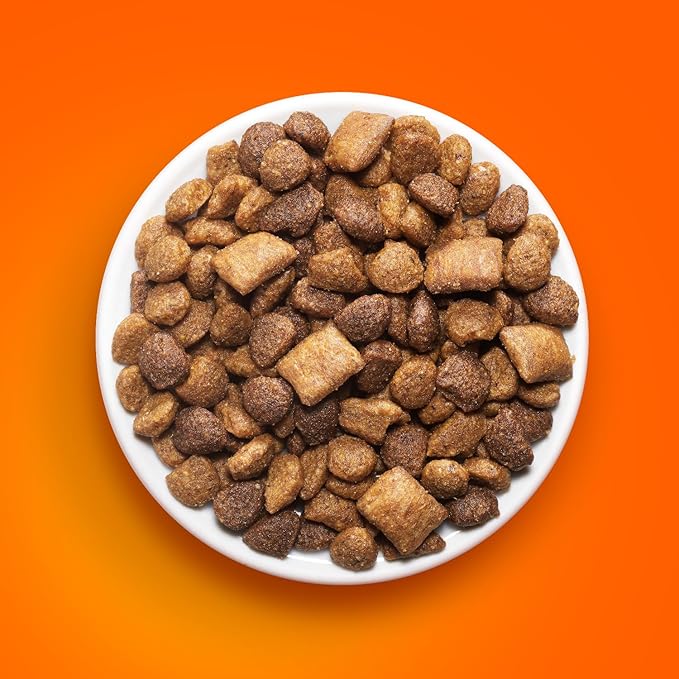 IAMS Healthy Enjoyment Dry Cat Food Chicken & Salmon Recipe, Cat Food Dry Recipe, 3 lb. Bag