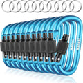 10 Pack Aluminum D Ring Key Rings Clips Locking Carabiner for Camping Fishing and Outdoor Use，Clips with Screw Gate Multicolored