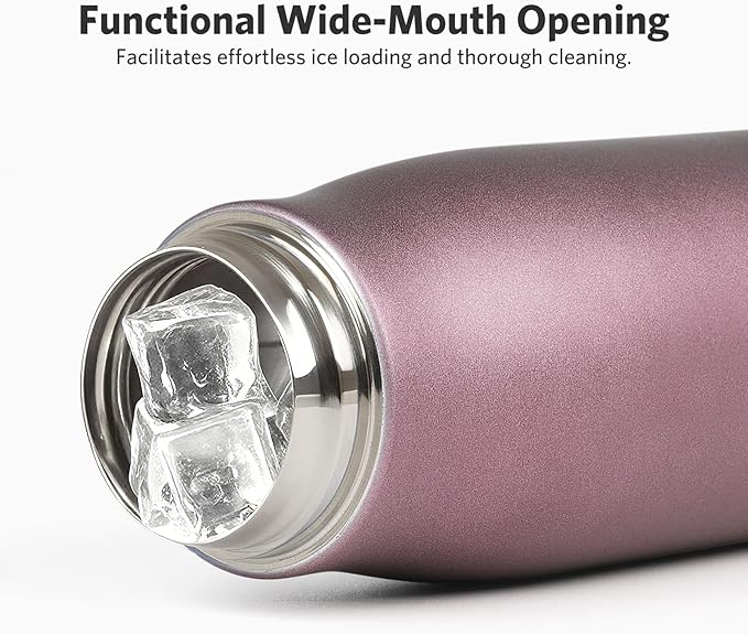 Mini Water Bottle, Dusgut 12 oz Water Bottle Reusable,Vacuum Insulated, Stainless Steel,Wide Mouth Portable Lid, Light Pink