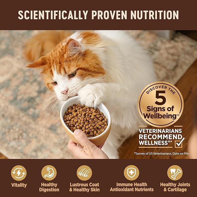 Wellness CORE Adult Dry Cat Food, Natural, Grain Free Kibble, Turkey, Turkey Meal and Chicken Recipe, 11 lb Bag