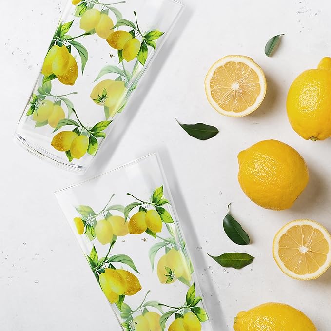 Reston Lloyd Calypso Basics Fresh Lemons 19 oz Acrylic Drinkware Set of 6 – BPA-Free, Indoor/Outdoor, Dishwasher Safe, Lemons with Bees