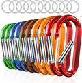 sprookber 3" Carabiner Clip Keychain, D Ring Caribeaner Clip, Key Clip Caribeener, Spring Snap Hook for Bag/Buckle, Set of 10
