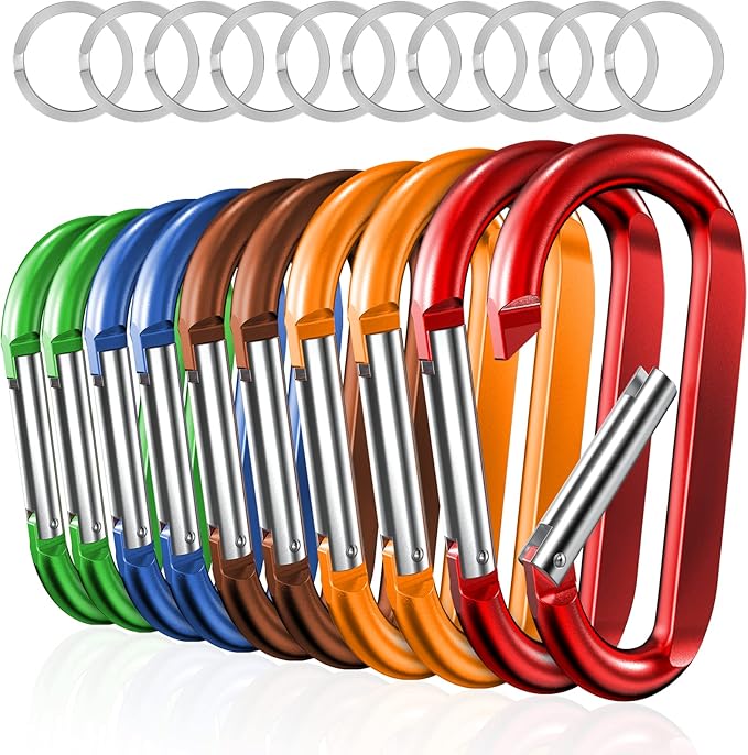 sprookber 3" Carabiner Clip Keychain, D Ring Caribeaner Clip, Key Clip Caribeener, Spring Snap Hook for Bag/Buckle, Set of 10