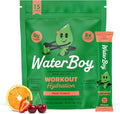 Waterboy Workout Hydration | 2,960mg Sugar Free Electrolyte Powder Packets | L-Glutamine + Vitamins | No Sugar, All Natural, Gluten Free | 15 Drink Stick Mixes (Fruit Punch)