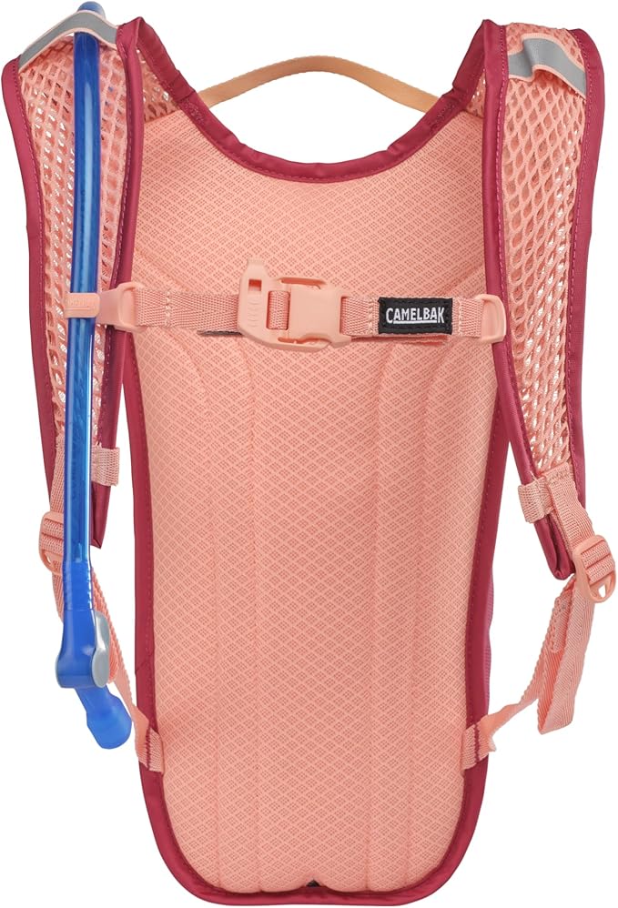 CamelBak Mini M.U.L.E. Kids 50oz Hydration Reservoir Hike and Bike Backpack