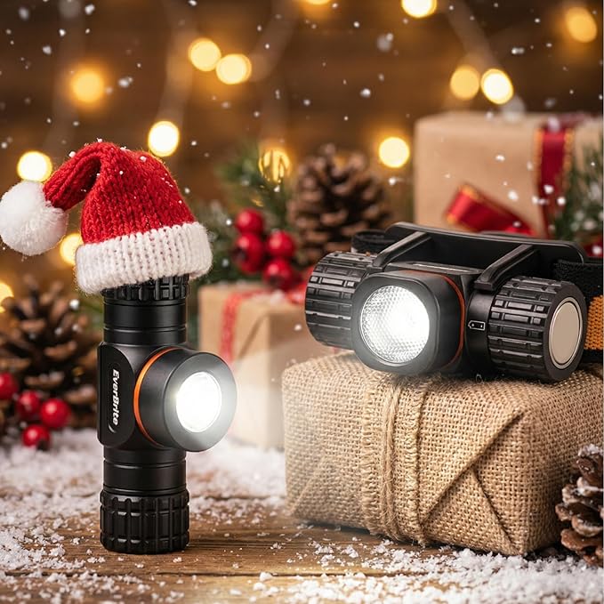 EverBrite Rechargeable Headlamp, 500 Lumen LED Rechargeable Headlight with 4 Light Modes, Magnetic Base and Adjustable Headstrap, Perfect for Camping, Hiking, Caving, Fishing, E101106AE