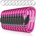 10 Pack Aluminum D Ring Key Rings Clips Locking Carabiner for Camping Fishing and Outdoor Use，Clips with Screw Gate Multicolored