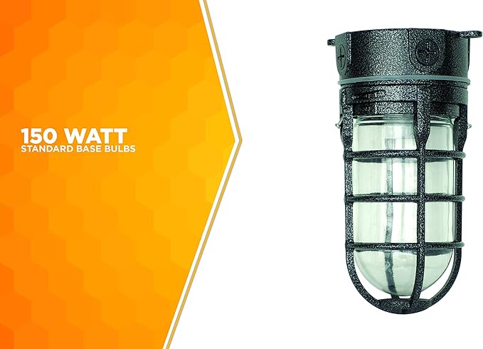 Woods L1706BLK Vandal Resistant 150W Incandescent Security Light, Ceiling Mount, Hammered Black