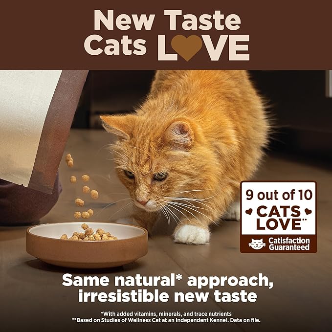 Wellness CORE+ Adult Dry Cat Food for Indoor Cats, Natural, Grain Free Kibble, Salmon and Herring Meal Recipe, 11 lb Bag