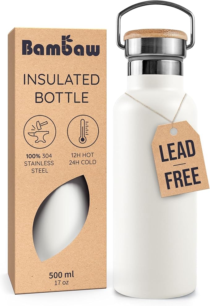 Bambaw Insulated Water Bottle 16 oz, Stainless Steel Water Bottle with Handle, Great for Travel & Hiking, Fits in Cup Holder, Made of High-Grade Stainless Steel (Polar White)