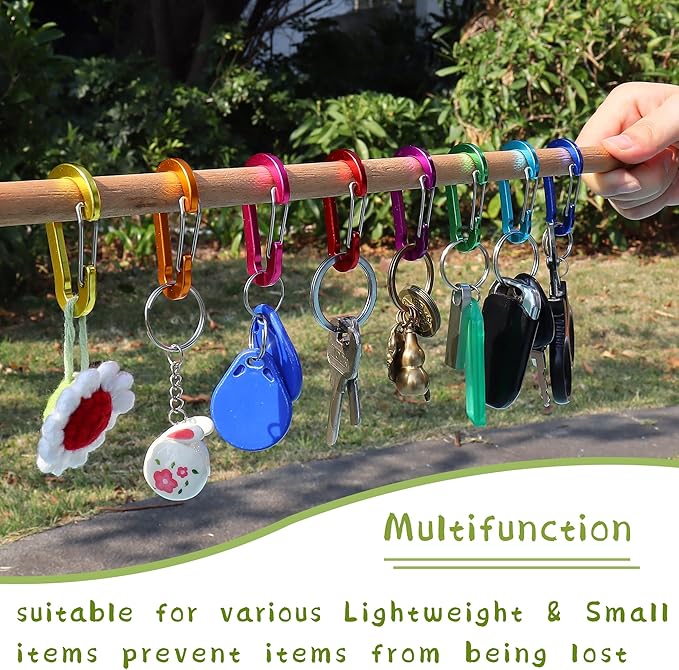 Mini Carabiner Clip Aluminum Lightweight D-Shape Spring for Keychain Climbing Fishing Hiking Outdoor