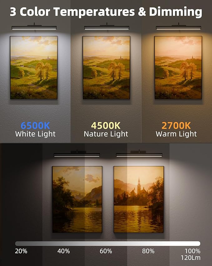 EZVALO Picture Lights for Wall, 16in Rechargeable 6000mAh Battery Operated Painting Lights with Remote, Wireless Wall Light for Gallery, Living Room, Hallway (Black)