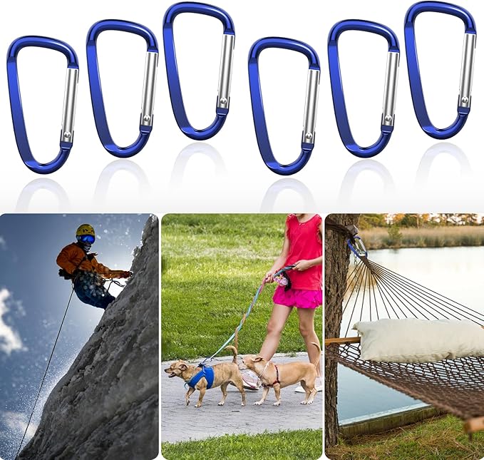 2.4" 24pcs Small Carabiner Clip Keychain, Aluminum D Ring Shape Clips with Keyring Keychain Hook