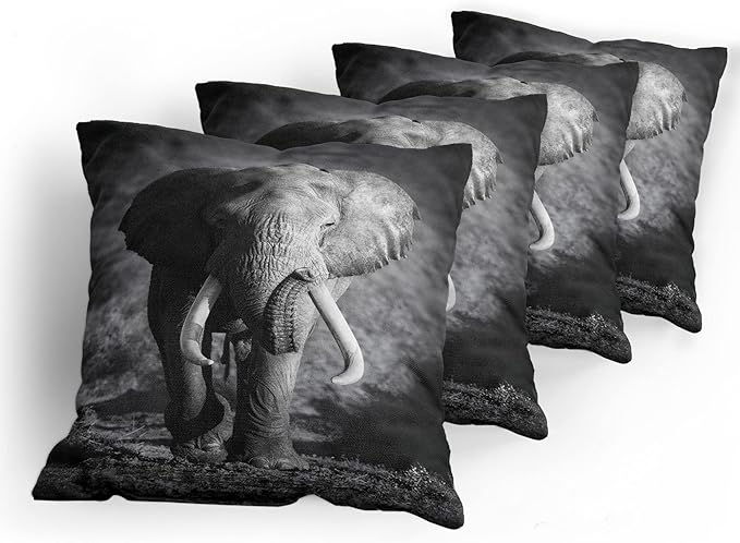 Ambesonne Elephant Throw Pillow Cushion Case Pack of 4, Majestic Elephant Bull Approaching Photo Exotic Wild Habitat Mammal Art Print Safari, Modern Accent Double-Sided Digital Printing, 16", Dimgrey