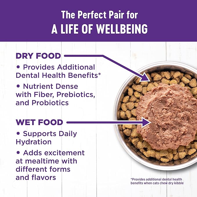 Wellness Complete Health Kitten Dry Cat Food, Natural, Grain Free Kibble, Chicken Recipe, 5.5 lb Bag